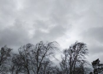 FHN gözlənilən hava şəraiti ilə bağlı əhaliyə müraciət edib