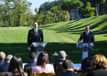 Azərbaycan ilə Gürcüstanın tarixi İpək Yolu üzərində yerləşməsi və ölkələrimiz tərəfindən birgə irimiqyaslı enerji və nəqliyyat layihələrinin icra edilməsi regionumuzdan keçən yük axınının həcmini dəfələrlə artırıb