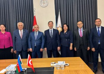 YAP Sədrinin müavini AK Parti Sədrinin xarici əlaqələr üzrə müavini ilə görüşüb