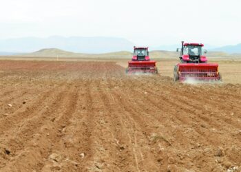 Nazir: Kənd təsərrüfatı məhsullarının istehsalı işğaldan azad edilmiş torpaqlar hesabına 8-10 faizdən çox artacaq