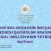 “Xüsusi bacarıqların inkişafı ilə istedadlı şagirdlər arasında sosial inklüziyanın tətbiqi” layihəsi start götürdü