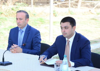 Neftçalanın icra başçısı növbəti səyyar qəbul keçirdi