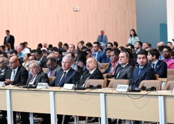 Deputat: Azərbaycan kiçik ada dövlətlərinə heç zaman dəstəyini əsirgəməyəcək