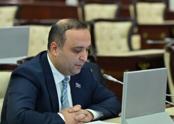 Deputat: Fransa saxta xəbərlərdən, mediadan istifadə edərək ölkəmizə qarşı qarayaxma kampaniyası aparmağa çalışır