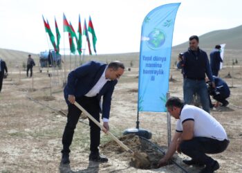 “Beynəlxalq Yer Günü”nə həsr olunmuş ağacəkmə aksiyası təşkil edilib
