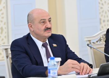 Azərbaycan-Çin strateji tərəfdaşlığı yeni müstəviyə daxil olur