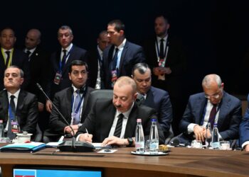 Deputat: Turan birliyi sürətli formada gerçəkləşməkdədir