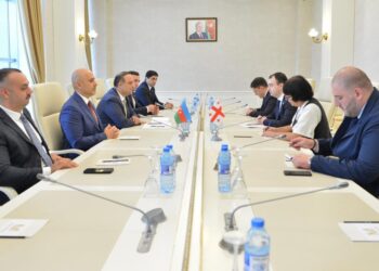 Milli Məclisin Gənclər və idman komitəsində Gürcüstan parlamentariləri ilə görüş keçirilib