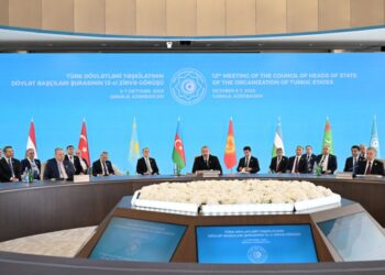 Komitə sədri: Prezidentin təşəbbüsləri TDT-ni qlobal gücə çevirir