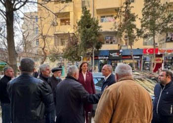 Könül Nurullayeva vətəndaşlarla növbəti dəfə görüş keçirib