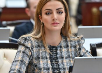 Deputat: Eyni dəyərli əməyə görə bərabər əməkhaqqı prinsipi praktikada da tam şəkildə təmin olunmalıdır