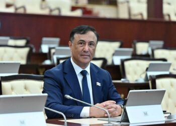 Elman Nəsirov seçicisini üzləşdiyi problemdən xilas etdi