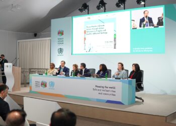 Bakıda WUF13 çərçivəsində keçirilən “Beynəlxalq Gənclər Süni İntellekt” yarışmasının qalibləri açıqlanıb