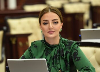 “Qarabağ və Şərqi Zəngəzurda həyata keçirilən su layihələri  aqrar inkişaf strategiyasının mühüm hissəsidir”
