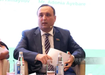 Şahin İsmayılov: Azərbaycan Afrika ölkələri ilə siyasi dialoqu intensivləşdirib